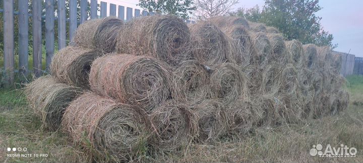 Продам сено в рулонах