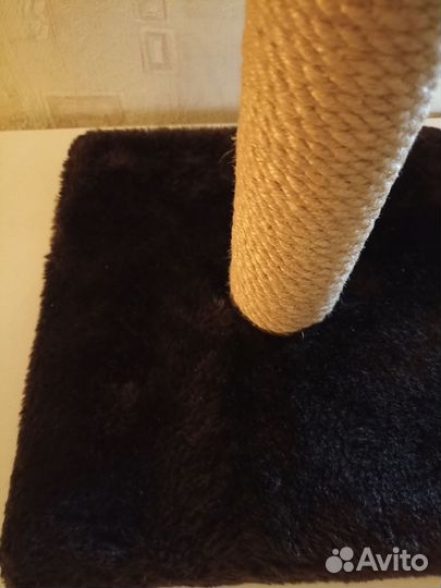 Когтеточка для кошек