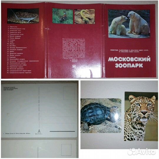 Открытки СССР, + открытки Бирмы и др