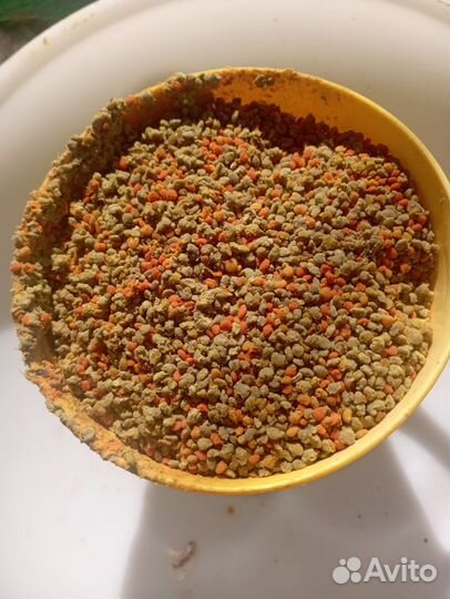 Пыльца пчелиная майская