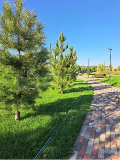 Участок 8 сот. (ИЖС)