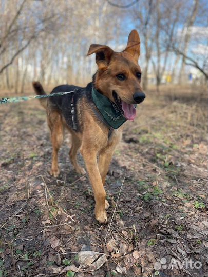 Очень ласковый обнимательный парень ищет семью