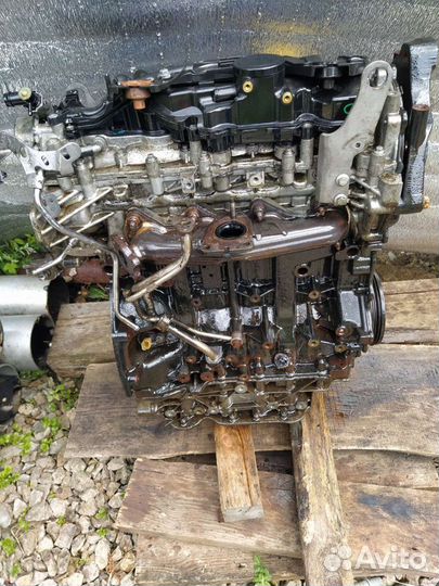 Двигатель на Ниссан м9r 2 литра турбо дизель