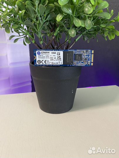 Ssd m2 kingston 120 gb