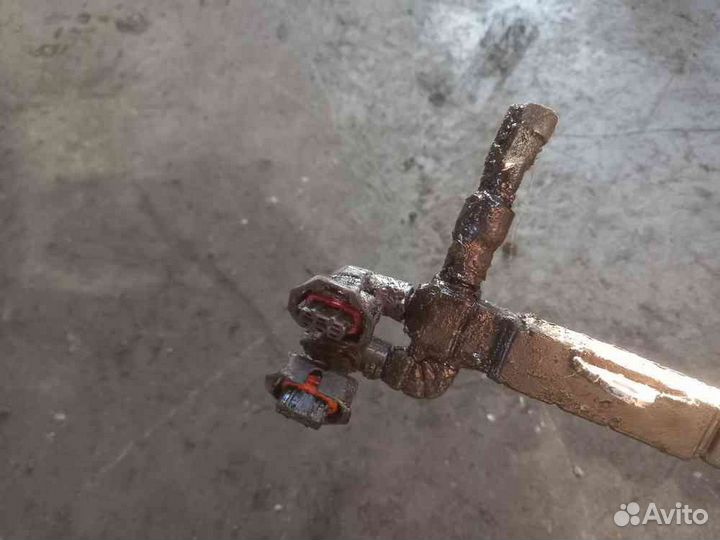 Проводка DAF XF105 (коса) двигателя верхняя