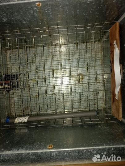 Инкубатор блиц 48