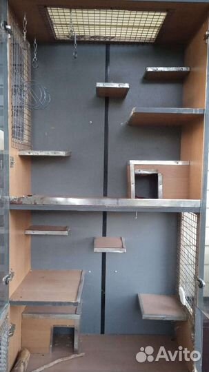 Витрина для шиншилл