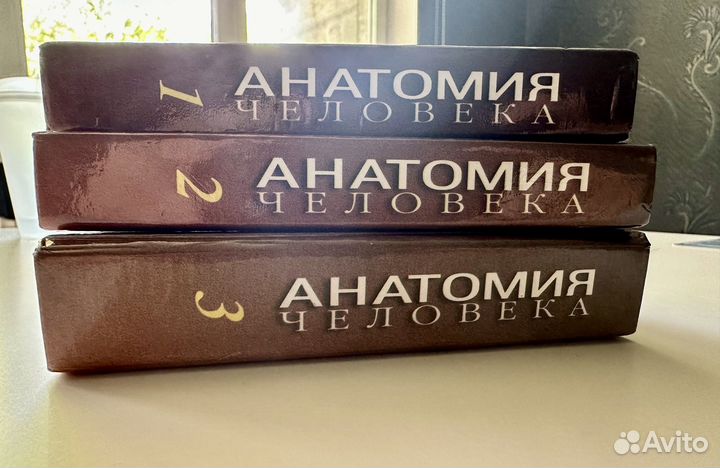 Книги Анатомия Человека