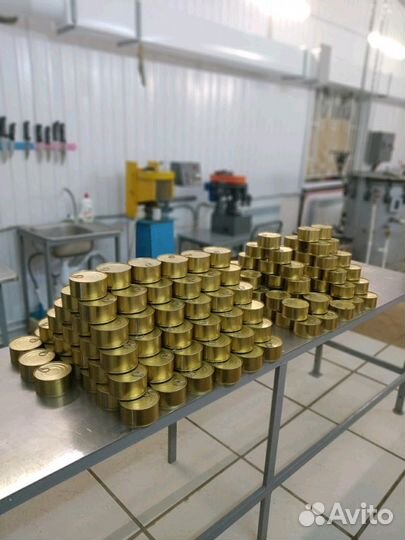 Изготовление тушёнки (Тушенка ) говядина свинина к