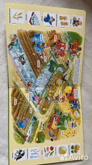 Книга 100 окошек Тони Вульф