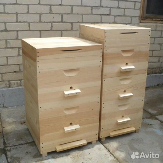 Улей пчелиный Дадан Рут