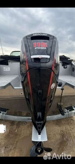 Волжанка 53 Fish и Волжанка 46 Fish