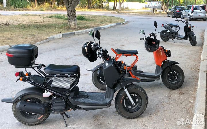 Honda Zoomer 50