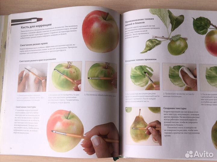 Ботанические портреты Руководство Билли Шоуэлла