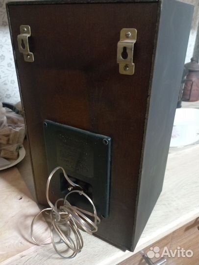 Акустические колонки радиотехника s 30