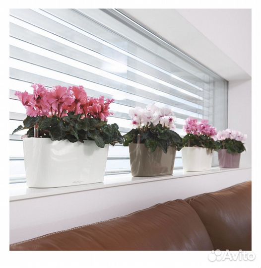 Горшок для цветов lechuza delta 20, желтый б/у