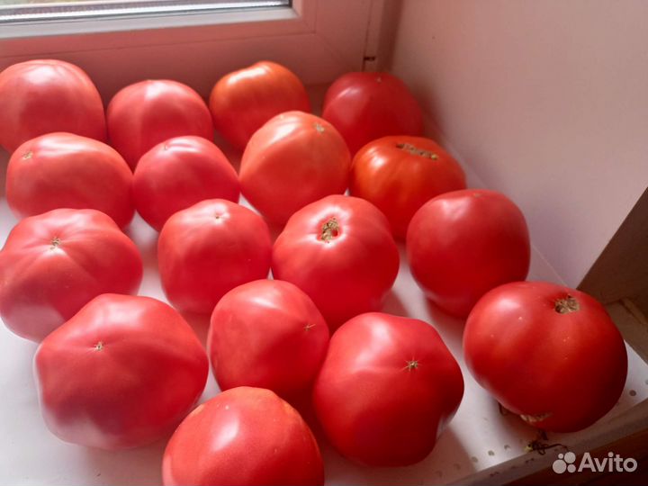 Помидоры свежие домашние