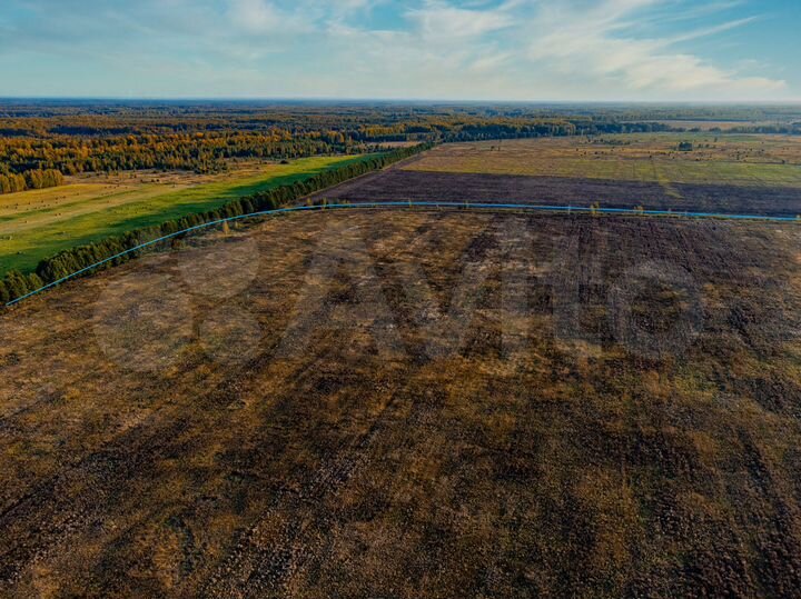 Участок 96,32 га (СНТ, ДНП)