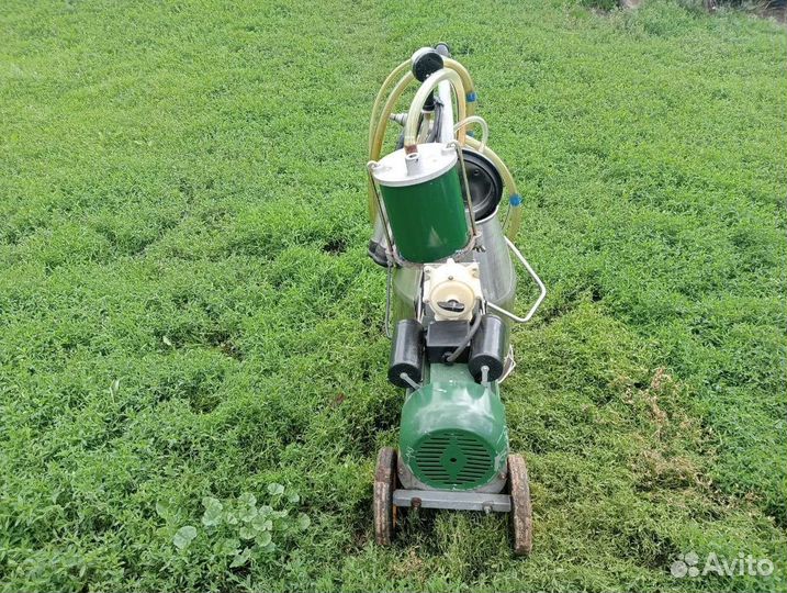 Доильный аппарат для коров бу