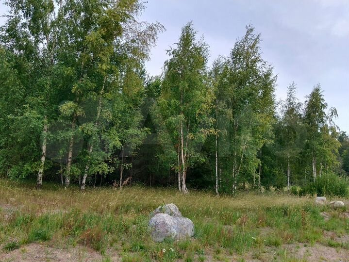 Участок 18,7 сот. (СНТ, ДНП)