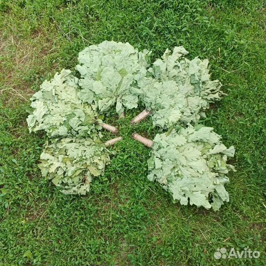Банные веники оптом