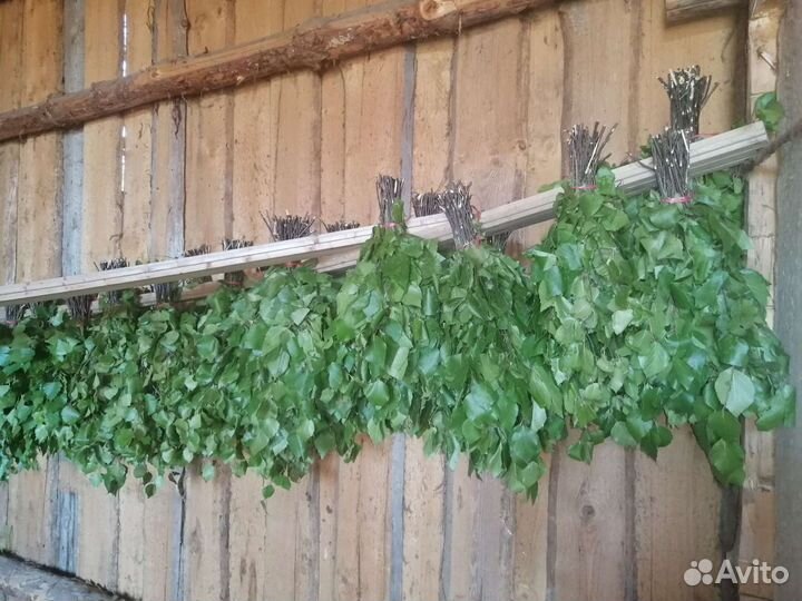 Веники для бани