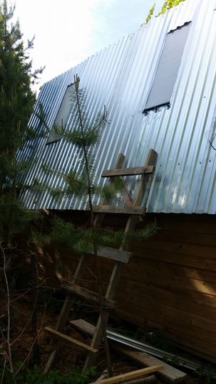 Участок 10,1 сот. (СНТ, ДНП)