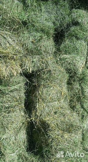 Сено и Стружка в тюках