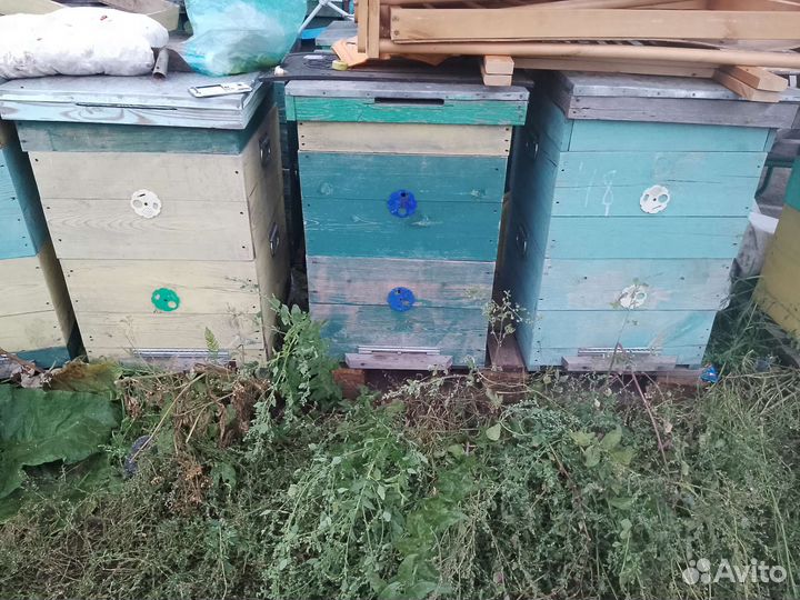 Улей для пчел бу