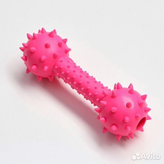 Контейнер для пакетов для выгула собак.Игрушки