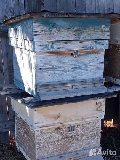 Пчелиный улей