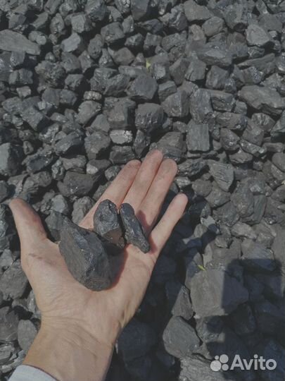 Каменный уголь сспк опт