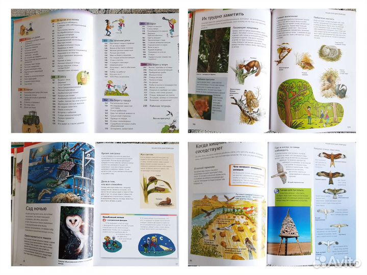 Детские энциклопедии