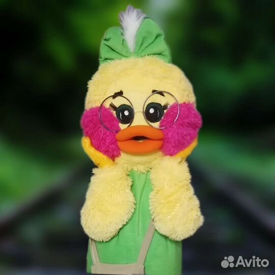 Уточка жёлтая или серая