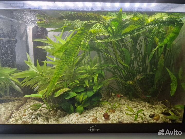 Аквариум 60 л + фильтр + грунт