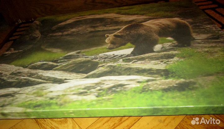 Медведь на водопое репродукция СССР