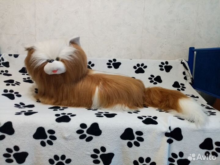 Гигантский кот для фотостудии