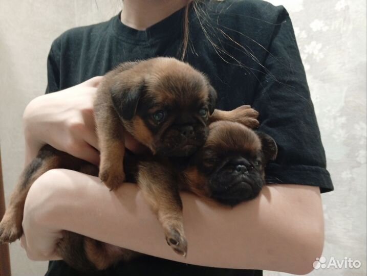 Мальчик и девочка