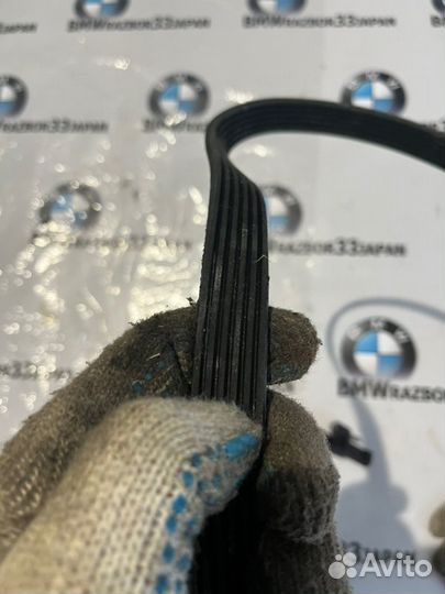 Клиновый рифленый ремень Bmw F 20 хэтчбэк N13B16A