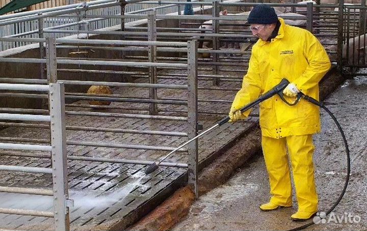 Подсобный рабочий в Тамбовскую обл. Свинокомплекс