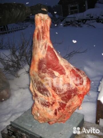 Продам мясо