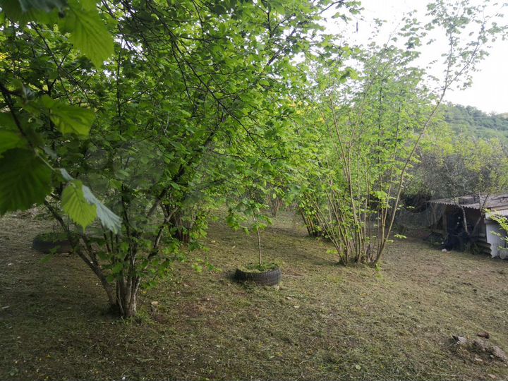 Участок 11,8 сот. (ИЖС)