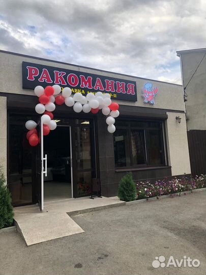 Живые и вареные раки с доставкой