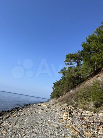 1-к. квартира, 42,5 м², 16/17 эт.