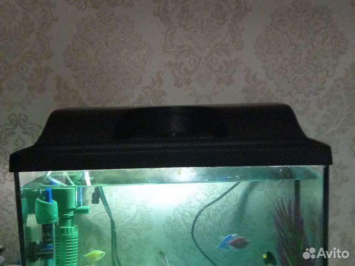 Аквариум