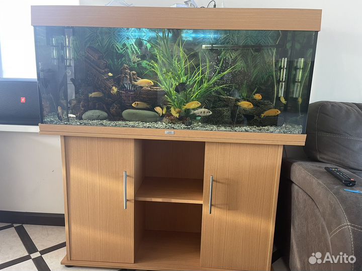 Аквариум