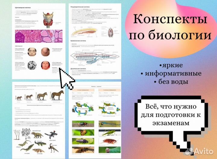 Репетитор по биологии ЕГЭ
