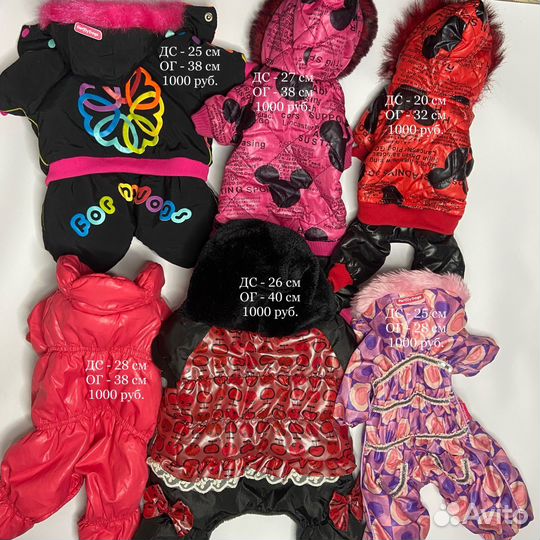Комбинезон, куртка, одежда для маленьких собак