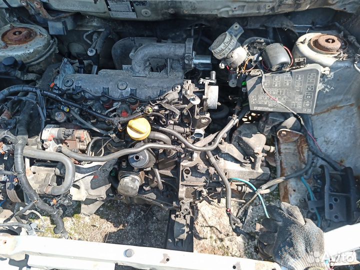 Двигатель 1.9dci F9Q в сборе с навесным идеал