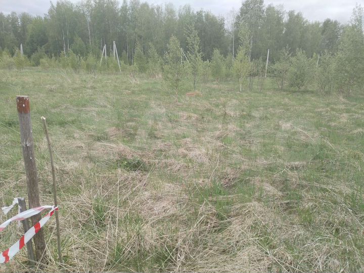 Участок 12 сот. (ИЖС)
